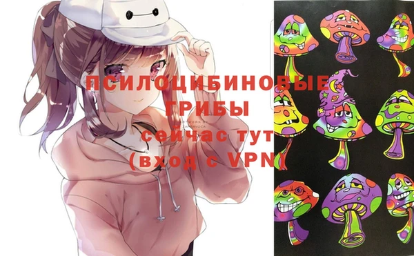 прущая мука Арсеньев