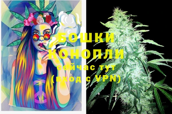 PSILOCYBIN Армянск