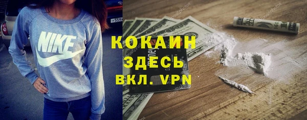 прущая мука Арсеньев