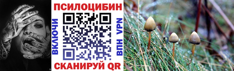 мега зеркало  Наволоки  Галлюциногенные грибы Psilocybine cubensis  мориарти состав  закладка 